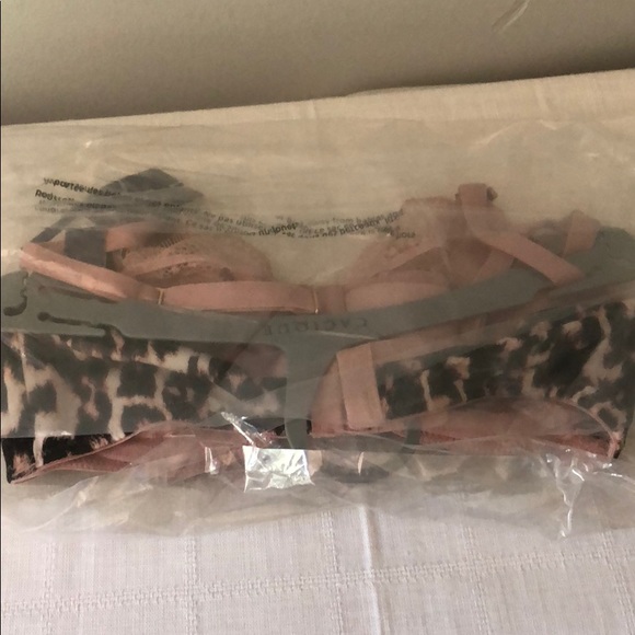 Animal Print French Balconette Bra With Lace NWT - Picture 8 of 10